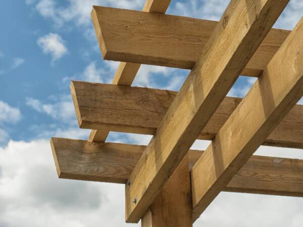 Dubová pergola